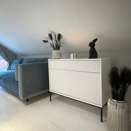 Grey House Miedwie 别墅 莫什奇恩